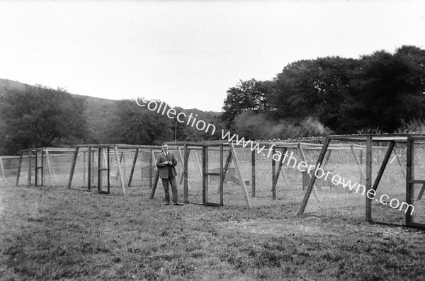 SILVER TOM FARM BALLYFEA CLOSER VIEW